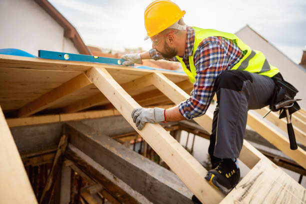 Best Roof Gutter Cleaning  in Highlands, NJ